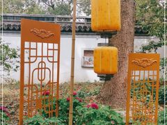 -秋霞圃