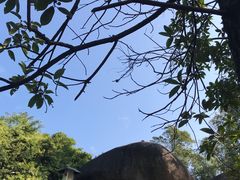 -火炉山森林公园