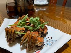 -呼吸森林·生态农庄农家乐私房菜