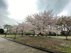 -苏州上方山国家森林公园