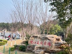 -铁山坪森林公园