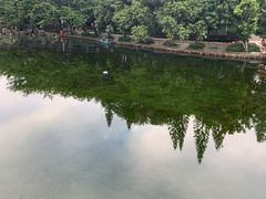 -深圳龙潭公园