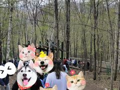 -帽儿山风景区