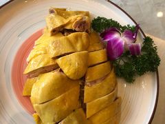 药膳鸡-龙汇酒家(沪闵路店)