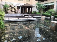 -三清山希尔顿度假酒店