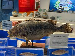 -千岛湖鱼味馆(十字街总店)