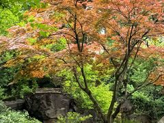 -穹窿山景区