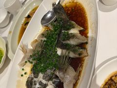 -南麓·浙里(外滩店)