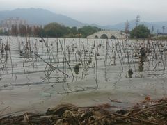 -飞来湖湿地公园