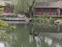 -钓鱼台国宾馆