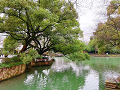 -西溪国家湿地公园