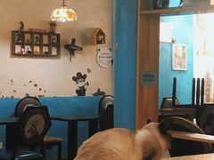 -猫小院猫主题咖啡厅(北锣店)