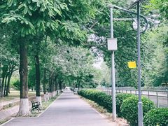 -元大都城垣遗址公园