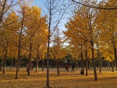 -天元公园
