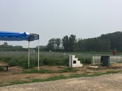 -北京东方普罗旺斯薰衣草庄园