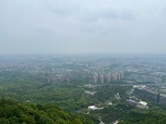 -杭州半山国家森林公园