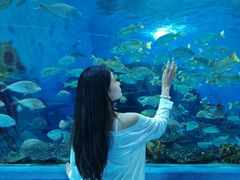 -合肥海洋世界