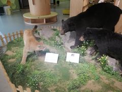 -青岛市图书馆
