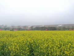 -光明小镇欢乐田园
