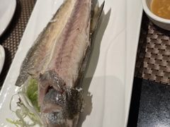 -金燕岛潮州酒楼