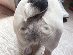 -小时光咖啡馆(北锣鼓巷店)