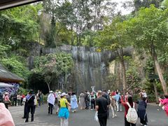 -西双版纳原始森林公园