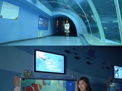 -前王院•巧克力海鲜市集餐厅(万平口店)