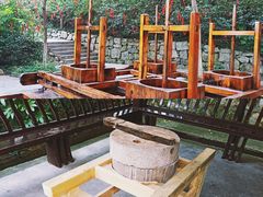 -天目湖山水园