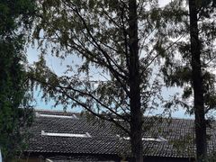 -T80科技文化国际社区-停车场