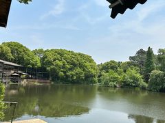 -张鸟园农家乐(张鸟园店)