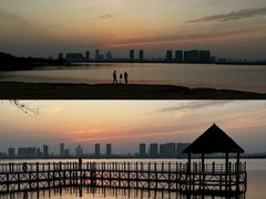 -瑶湖郊野森林公园