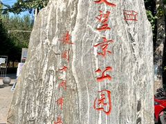 -大望京公园