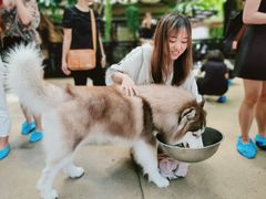 -TrueLove @ Neverland (Husky Cafe)