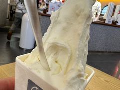 -野人先生Gelato(上海长宁龙之梦店)