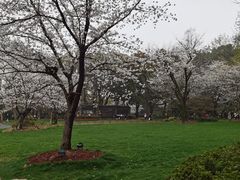 -渤公岛生态公园