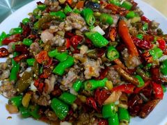 -铁山坪森林公园