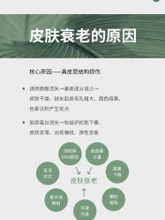 -慈蕊美容养生·专业经络调理