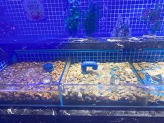 水产区-五月罗马海鲜烤肉自助餐厅(印象城店)