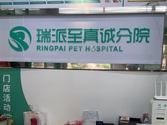 -瑞派动物医院·猫专科·至诚(江南中分院)