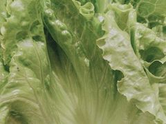 -西塔老太太泥炉烤肉(青浦蟠龙天地店)