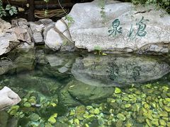 -趵突泉景区