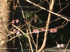 -热田神宫