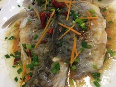 -悠悠美食