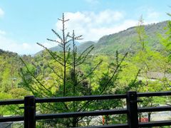 -中铁花水湾温泉酒店(大邑店)