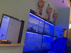 -云中鱼蒸汽石锅鱼(川沙百联店)