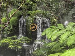 -Chom Cafe and Restaurant