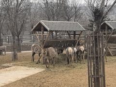 -太原动物园