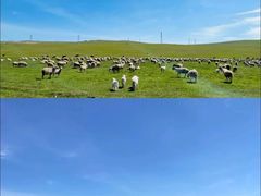 -亿利库布其七星湖沙漠生态旅游区