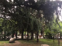 -四川大学(望江校区)