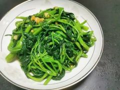 -天鹅到家·保姆月嫂育儿嫂(朝阳店)